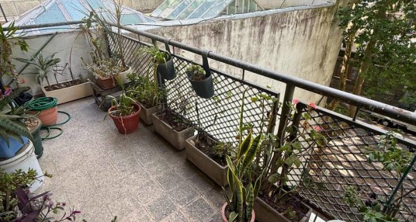 WhatsApp Image 2026-01-12 at 16.08.55 (3)