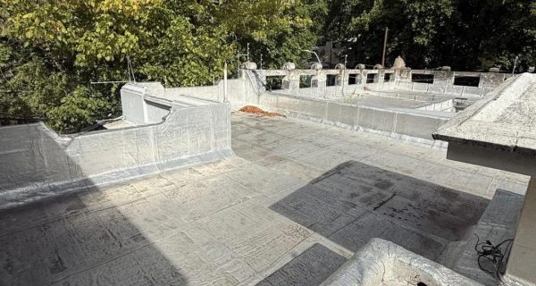 WhatsApp Image 2026-02-26 at 11.23.47 (1)