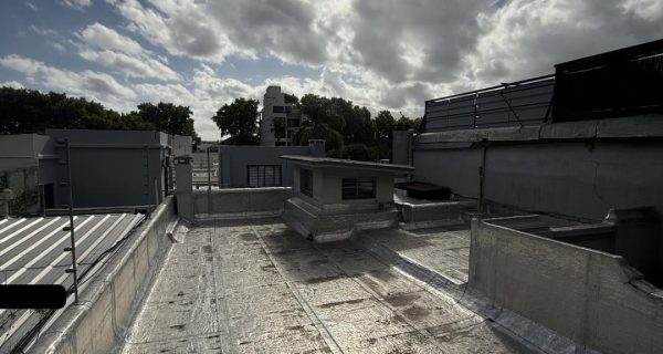 WhatsApp Image 2026-02-26 at 11.23.47